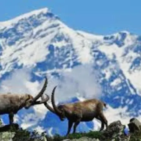 La Ghita Отель типа 