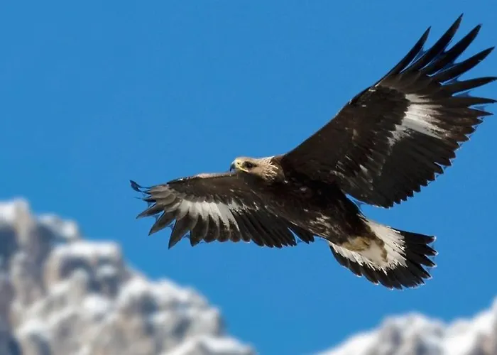 לינה וארוחת בוקר La Ghita 3*