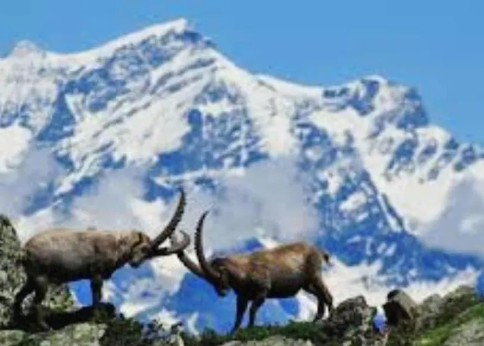 La Ghita לינה וארוחת בוקר Sparone